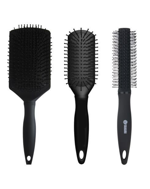 Ensemble de brosses en carbone