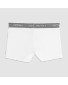 Boxer Alain blanc