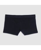 Boxer Eric noir
