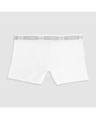 Boxer Mike blanc
