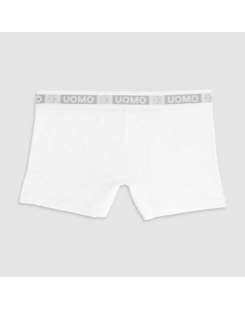 Boxer Mike blanc