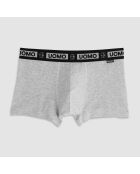 Boxer Mike gris chiné