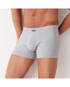 Boxer Max gris chiné