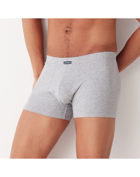 Boxer Max gris chiné