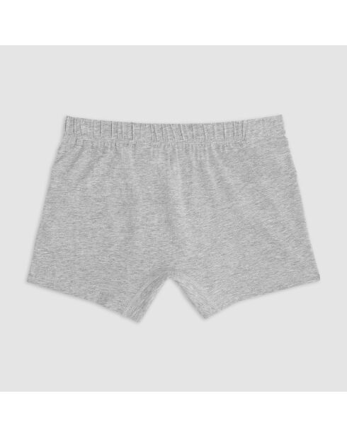 Boxer Max gris chiné