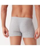 Boxer Max gris chiné