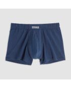 Boxer Max bleu