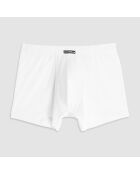 Boxer Max blanc