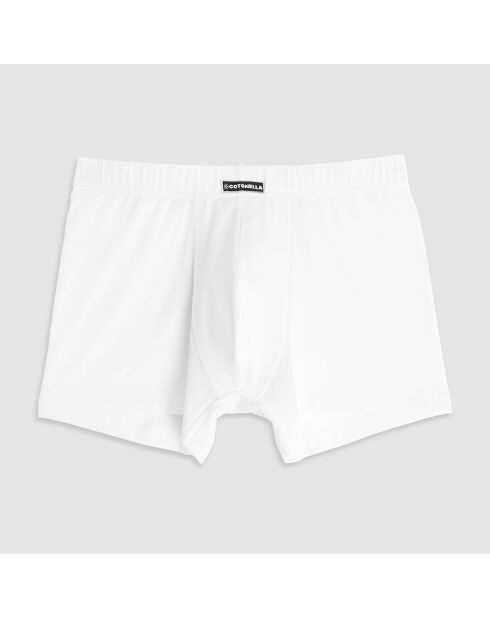 Boxer Max blanc