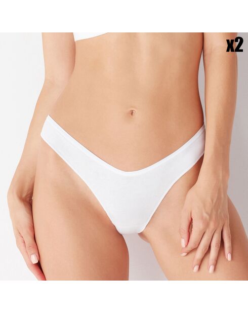 2 Culottes brésiliennes Annie poudre