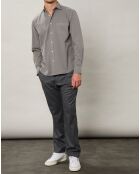 Chemise regular Paul Pat vert de gris