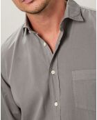 Chemise regular Paul Pat vert de gris