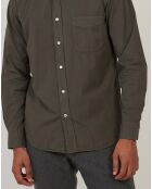 Chemise regular Pitt Pat militaire