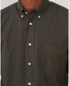 Chemise regular Pitt Pat militaire