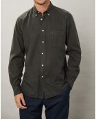 Chemise regular Pitt Pat militaire