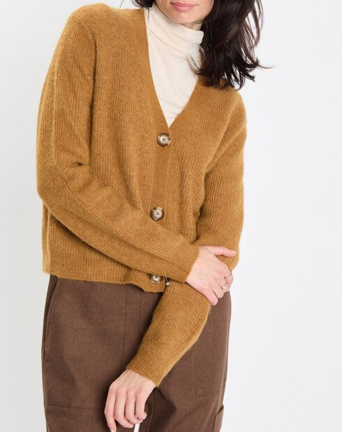 Gilet en Alpaga & Laine mélangés 3 Boutons kaki marron