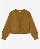 Gilet en Alpaga & Laine mélangés 3 Boutons kaki marron