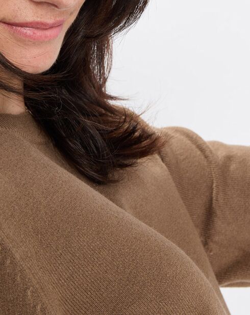Pull en Maille de coton stretch Basique marron