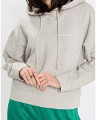 Sweat à capuche gris chiné