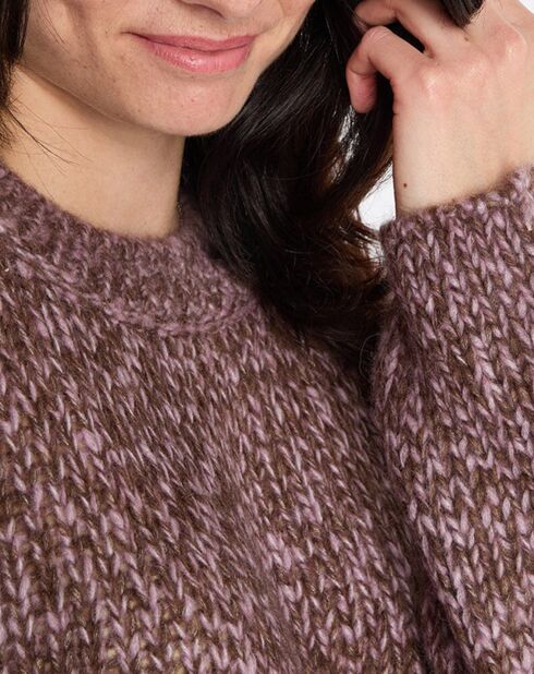 Pull en Laine & Alpaga mélangés marron