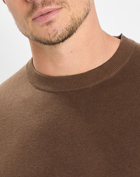 Pull en Coton & Cachemire marron