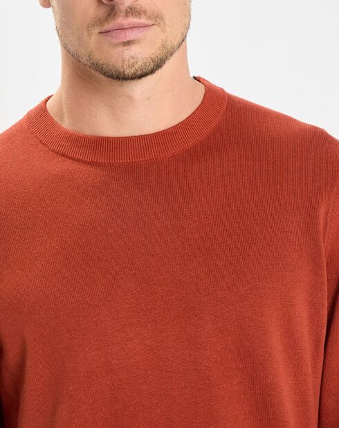 Pull en Coton & Cachemire brique
