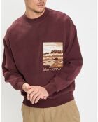 Sweat 100% Coton Bio Artwork bordeaux