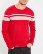 Pull à rayures rouge/gris