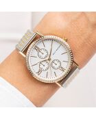 Montre en Acier mesh argenté/doré
