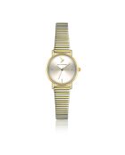 Montre en Acier argenté/doré