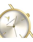 Montre en Acier argenté/doré