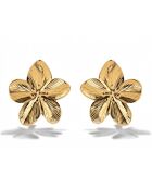 Boucles d'oreilles en Acier plaqué Or jaune dorées