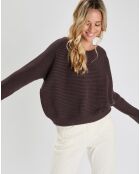 Pull Soho raisin