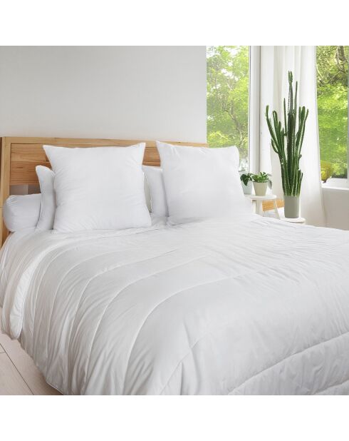 Pack Couette Chaude blanc