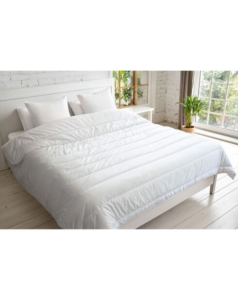 Pack Couette tempérée blanc