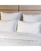 2 Oreillers Moelleux anti acariens blancs
