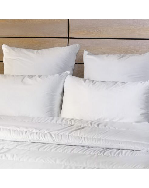 2 Oreillers Moelleux anti acariens blancs