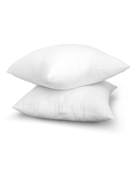 2 Oreillers Moelleux anti acariens blancs