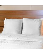 2 Oreillers Moelleux anti acariens blancs