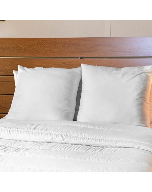 2 Oreillers Moelleux anti acariens blancs