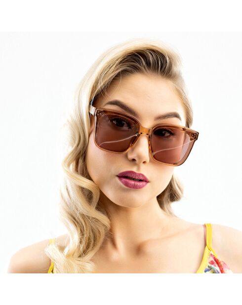 Lunettes de Soleil Morgan marron