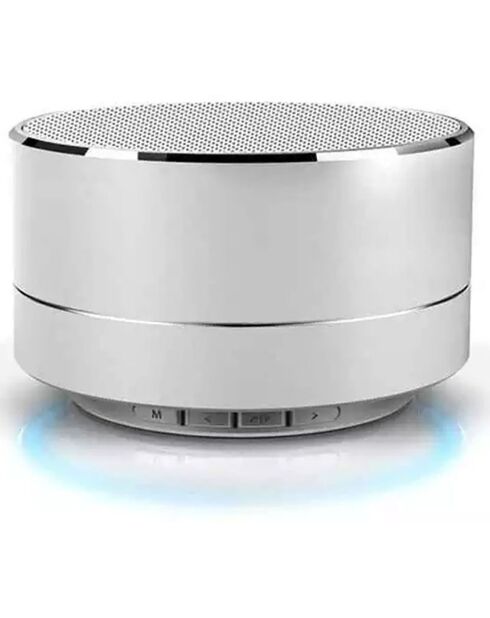 Haut-parleur Bluetooth Reekin argenté - D.7x5 cm