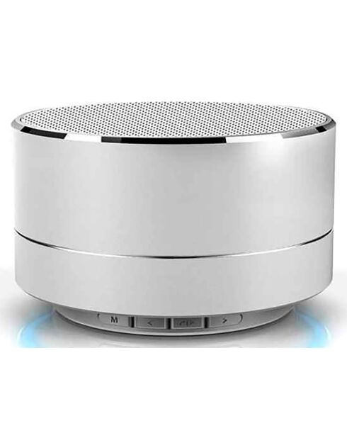 Haut-parleur Bluetooth Reekin argenté - D.7x5 cm