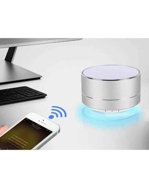 Haut-parleur Bluetooth Reekin argenté - D.7x5 cm