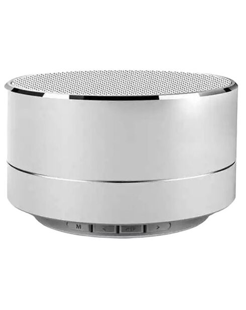 Haut-parleur Bluetooth Reekin argenté - D.7x5 cm