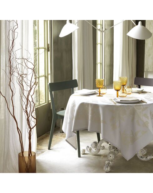 Nappe 1Syracuse dolce