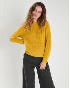 Pull Lou jaune