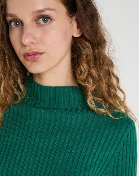 Pull Alma vert