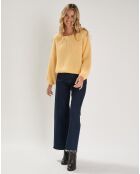 Pull Labonita poussin