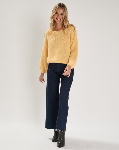 Pull Labonita poussin